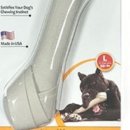 숭구리댕댕 이미지