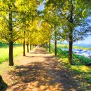 가산수피아 이미지