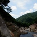 칠곡홈플투어