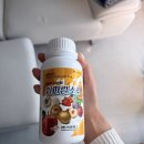 상추 | 친환경 비료 이연테크-휘파람소리 후기, 상추 영양제, 관주 비료로 키우기