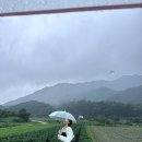 슈빌라움 이미지