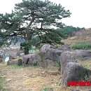 유포석보 이미지