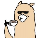 영미국수 이미지