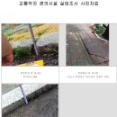 청사큰길 이미지