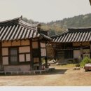 꽃으로물들다