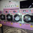 하이워시제주 이미지