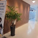(주)해피나무