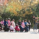 선운숲유치원 이미지