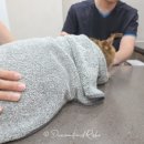 원당동물병원 이미지