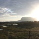 오조리bnb 이미지