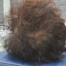 비타민나무의원 이미지