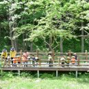 청송유치원 이미지