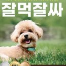 피오에스 이미지