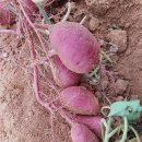 창대농장 이미지