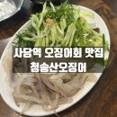 청송횟집 | 관악구 사당역 오징어회 맛집 청송산오징어 방문후기