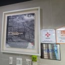 이비가짬뽕춘천점 이미지