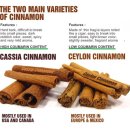 ﻿계피(桂皮 cinnamon) 꿀차와 계피(桂皮) 선택의 중요성 이미지