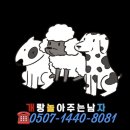 개랑놀아주는남자 이미지