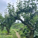 이화농장 이미지