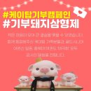 케이탑아이