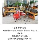 봉정암, 오세암 등행 과정의 비하인드 스토리, 야생 에델바이스＜산솜다리＞ 실물사진 등 기록저장庫(Archive) 이미지