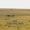 세상의모든수학 이미지