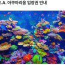 블로그여행사주 이미지
