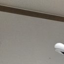 서울강남플란트치과의원천안점 이미지