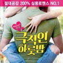 극적인 하룻밤 이미지