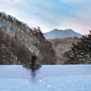 포레스트 리솜 이미지