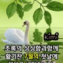 미국은 우리나라를 구해준 은인 이미지