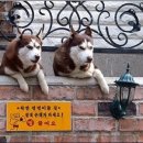 멍멍이집 이미지