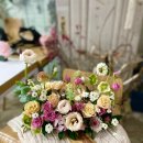 플로라움floraum 네이버블로그