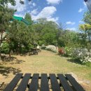 가평블루베리힐 이미지