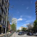 다다 호스텔 | [세계여행 D+275 알바니아 🇦🇱 티라나] 시시각각 변덕이 죽 끓듯 하는 P의 여행이란, 티라나에서 베라트...