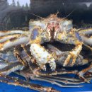 강원수산 이미지