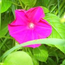 윤성농장 이미지