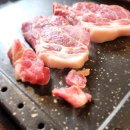 Limit 8 호스텔 이미지