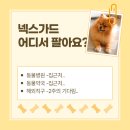 위례마음약국 이미지