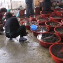 지리해수욕장 이미지