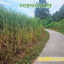 행정사 필 사무소 | 의료관광(외국인환자유치의료사업)을 준비할 때입니다