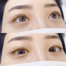 세븐일레븐 대구청아람점 | [삼덕동/중구/대구] 속눈썹연장/속눈썹펌 맛집...삼덕동 속눈썹연장 “루뷰티(Rue beauty)” 솔직후기◡̎