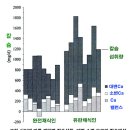 뼈의 건강과 채식 이미지