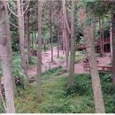 유달산그집 이미지