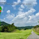 모나크cc 이미지