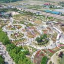 장미축제 이미지