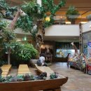 아프리카박물관 이미지