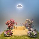 동산애견 이미지