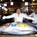 참치한마리 - 중랑구 용마공원로 1 | 참치한마리