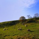 우리들목장 이미지